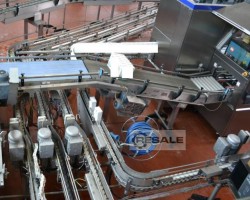 Maschine: POLYKETTING Conveyors freq. control motors Abfüllanlagen