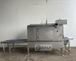 Maschine: FTNON Sanitiser tunnel 