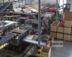 Maschine: HAITH  Obst und Gemüse Verarbeitungslinie
