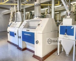 Maschine: GOLFETTO BÜHLER  Getreidemühlen