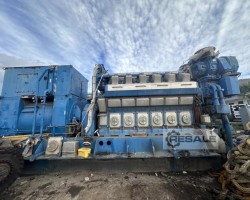 Maschine: WARTSILA 12V32LNE Dieselgeneratoren