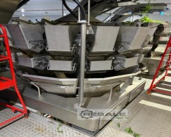 Maschine: ISHIDA CCW-RV-214W-16-50-WP-SLD Mehrkopfwaage