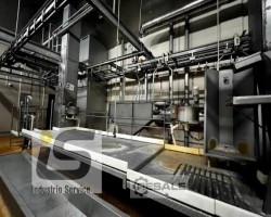 Maschine:  80 pieces / hour Schlachtlinie für Schweine