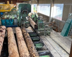 Maschine: CANALI 1600 Bandsägeanlagen