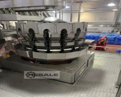 Maschine: ISHIDA CCW-RV-216B-1D-30-WP Mehrkopf-Waage