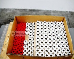 Maschine:   drehelastische Kupplung