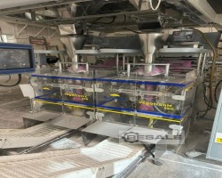 Maschine: ISHIDA + ILAPAK SEE DESCRIPTION Mehrkopfwaage & Doppel-VFFS-Beutelmaschinen