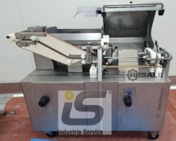 Maschine: HANDTMANN AL241-01 Fleischverpackungsmaschine