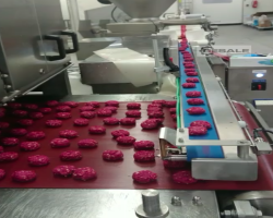 Maschine: JBT CORPORATION Contact Cooker 618E Kontakt Herd