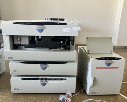 Maschine: DIONEX ICS 5000 Gaschromatographen