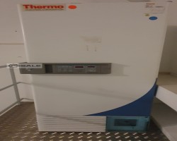 Maschine: THERMO Electron TPF 340 SV Tiefkühlschrank