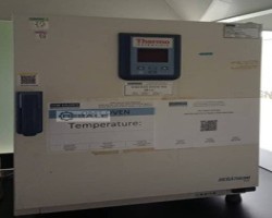 Maschine: D+E THERMO FISHER SCIENTIFIC u