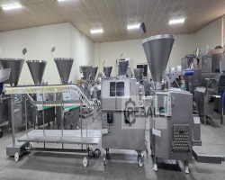 Maschine: VEMAG HP 10 E +LPG 209+AH 212 Wurstlinie