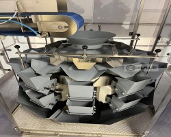 Maschine: COSMO FOOD MACHINERY Complete Vegetable Processing Linie