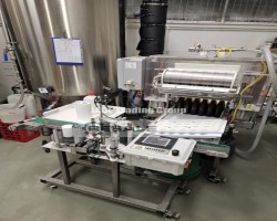 Maschine: WILD GOOSE Meheen M6L 2400bph Flaschenabfüllanlagen