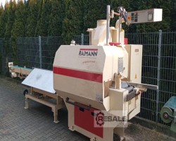 Maschine: RAIMANN KS 310 Vielblattsägen
