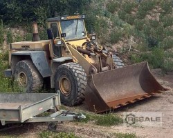 Maschine: HANOMAG 66D Radlader