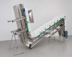 Maschine: MULTIPAK Conveyors FÖRDERBAND