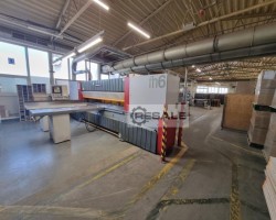 Maschine: SCHELLING FH6 330/330 Plattenaufteilsägen