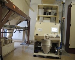 Maschine: ASM, ITALIEN Futura 2.0 F 1 Farbsortierer / Farbausleser