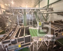 Maschine: VARIOUS MANUFACTURERS Complete line for onions Linie zum Sortieren, Verpacken und Lagern von Zwiebeln