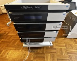 Maschine: DIONEX UltiMate 3000 Gaschromatographen
