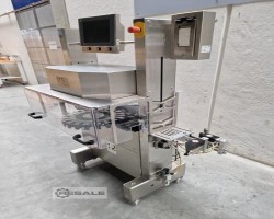 Maschine: OCS CHECKWEIGHERS HC Bandkontrollwaagen