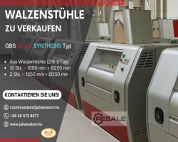 Maschine: GBS SYNTHESIS Walzenstuhl