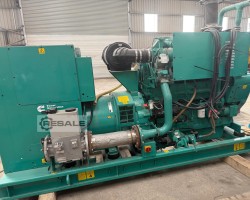 Maschine: CUMMINS 315GFBA Gasgeneratoren