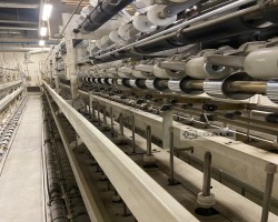 Maschine: MENEGATTO 1500 Deckgarn