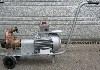 Maschine:   Impeller-Pumpe