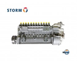 Maschine: MWM TCD2016-V12 / 2016-12 Einspritzpumpe