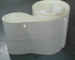 Maschine: BELTECH GMBH / HERSTELLER PU - Transportband für Lebensmittel Förderbänder