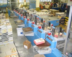 Maschine: MüLLER MARTINI Powerliner Einsteck- und Foliermaschine