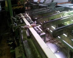 Maschine: EWD - DENDROMASKIN DK90 Besäumautomat Säumsäge automatisch