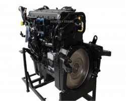 Maschine: MAN D2066 LF31 Euro 4 Tauschmotor Dieselmotor